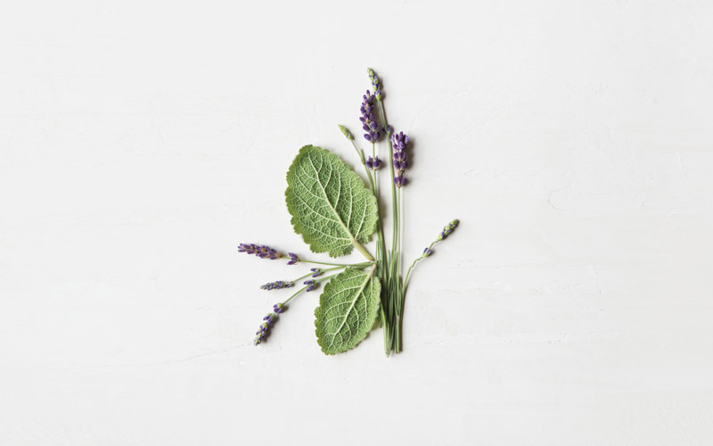 Packshot – Comforting Tea Ritual